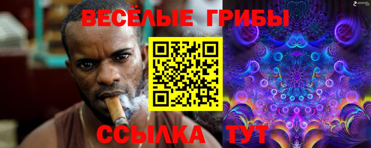 Псилоцибиновые грибы мицелий Изобильный