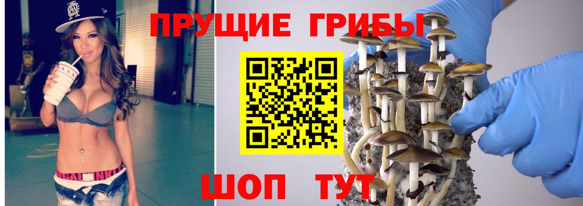 Изобильный  Галлюциногенные грибы MAGIC MUSHROOMS  Вход с VPN 